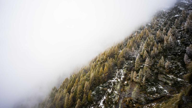 足球滚球下注实时盘口与皇冠信用盘